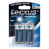 Batteries 2pcs. Baby Tecxus LR14 c